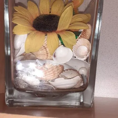 Dolce Sogno * 바이아도미찌아